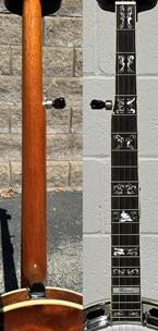 American Eskimo Dog Neck